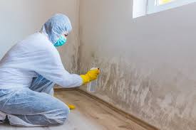 Best Attic Mold Removal  in Harkers Island, NC