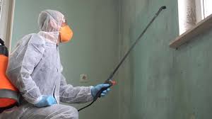 Best Industrial Mold Remediation  in Harkers Island, NC